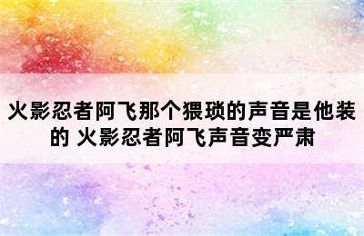 火影忍者阿飞那个猥琐的声音是他装的 火影忍者阿飞声音变严肃